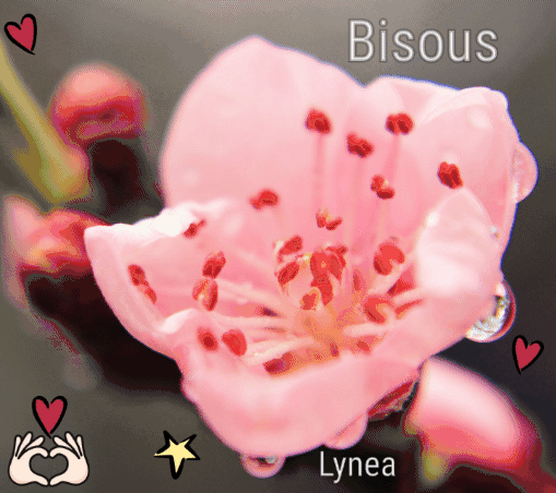 Bisous Lyneaa