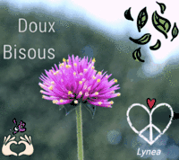 bisous doux fleur Lynea