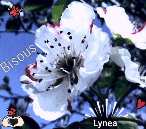 Bisous --Lynea