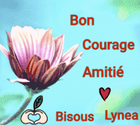 Bon courage amitié bisous Lynea f