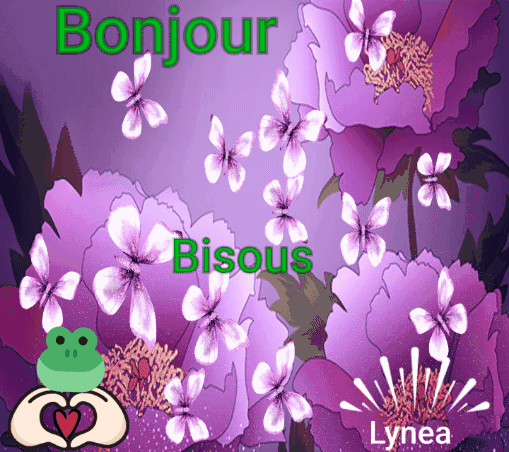 Bonjour bisousss Lyneaa