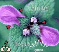 Amitié bisous Lyneaa-