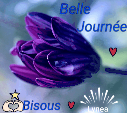 Bonne journée tulipe bisous Lynea