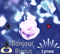 Bonjour rose bisous Lynea