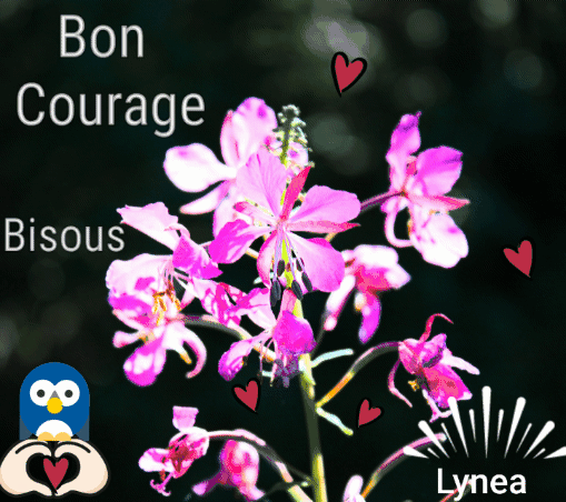 Bon courage bisouss Lynea