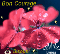 Bon courage bisous L