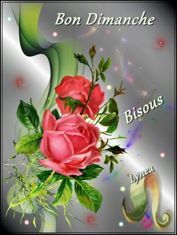 Bon Dimanche Bisous de Lynea - BON DIMANCHE - lynea18 - Photos - Club Doctissimo