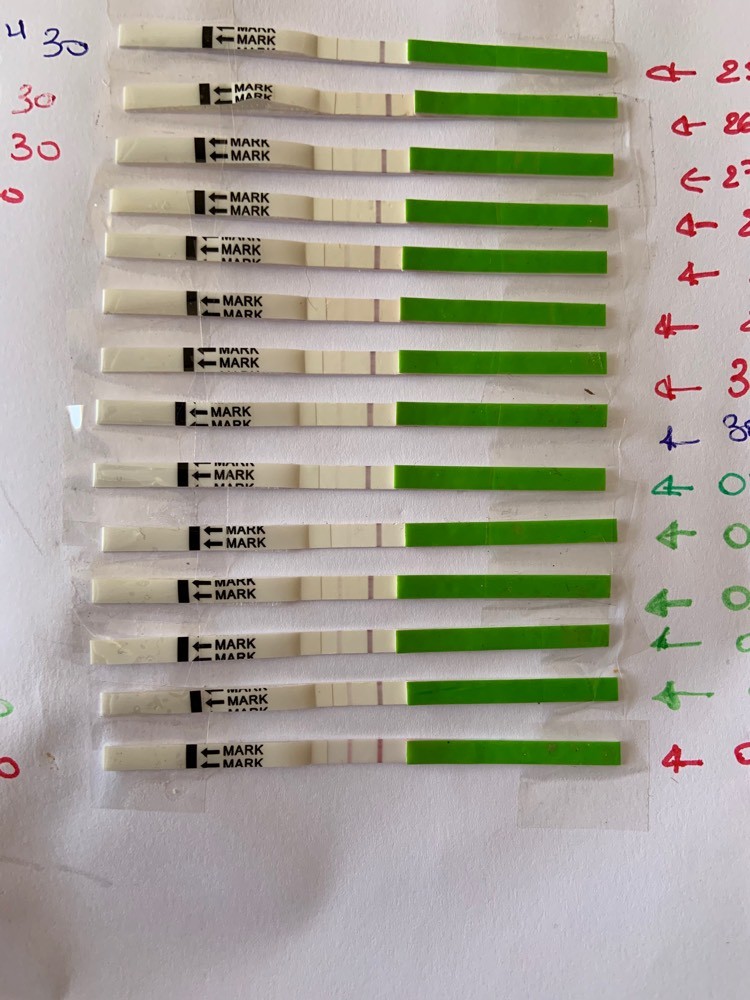 test ovu positif ? Courbe de température ovulation FORUM