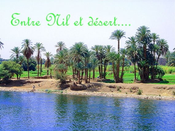 entre Nil et désert
