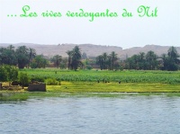 L'autre côté de la rive du Nil très verdoyant