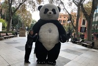 Grand Panda Petite Carole