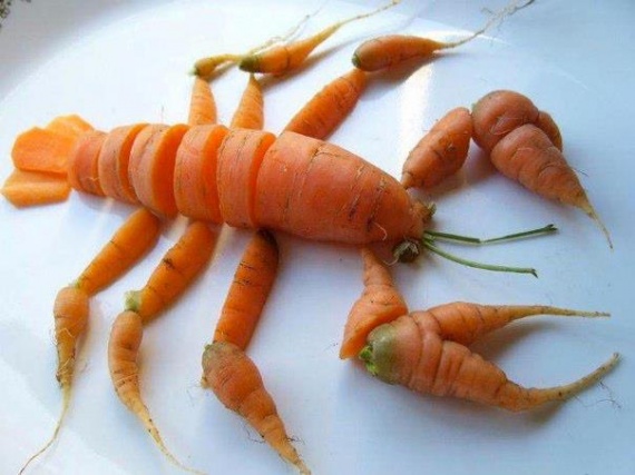 Homard aux carottes