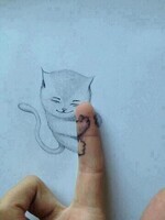 chat sur doigt