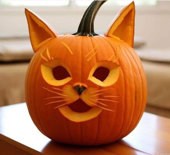 img-31153069868.jpg img-31153069868.jpg