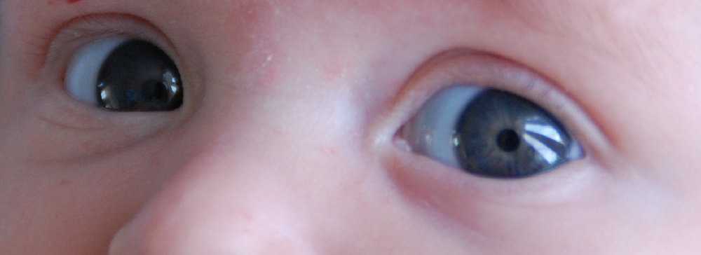 Yeux De Bebe Bebe Grandit Forum Grossesse Amp Bebe Doctissimo