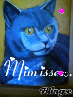 chat bleu ecrit mimisse