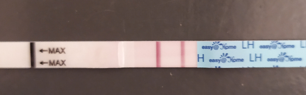 Cycle 1 To Qui Pour Papoter Tests Et Symptomes De Grossesse Forum Grossesse Amp Bebe Doctissimo Cycle 1 To Qui Pour Papoter Tests Et Symptomes De Grossesse Forum Grossesse Amp Bebe Doctissimo