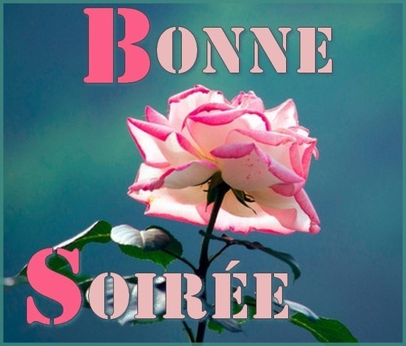 bonne soirée rose - images 1 - di-ange - Photos - Club Doctissimo