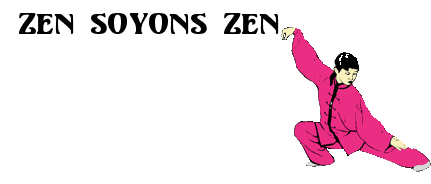 zen soyons zen 1