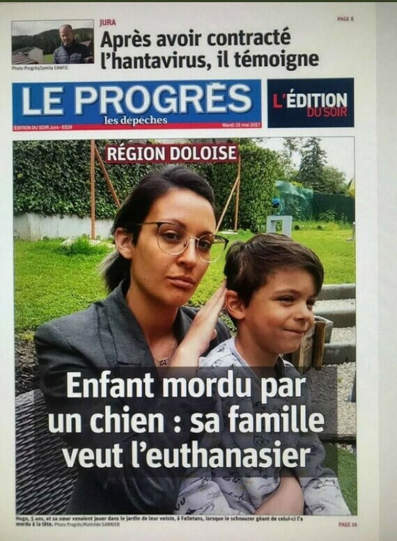 La Tolérance Atteindra Un Tel Niveau Que Les Personnes Intelligentes Vos conneries - Page : 231 - Affaires de couples - FORUM psychologie