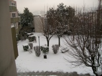 neige 31 01 2012