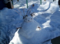 bonhomme de neige  février 2012