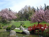 Jardin japonnais