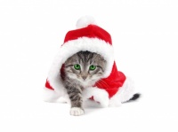 chat-pere-noel