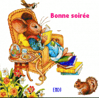 bonne-soiree-8-249462012d