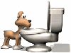 chien et wc