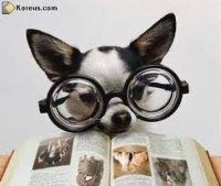chien à lunette