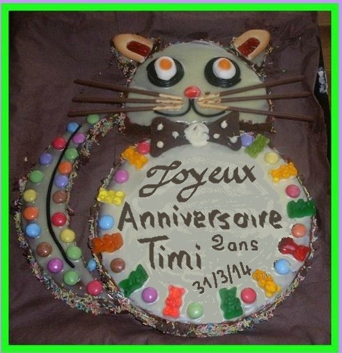 Joyeux Channiversaire Chats Forum Animaux Doctissimo