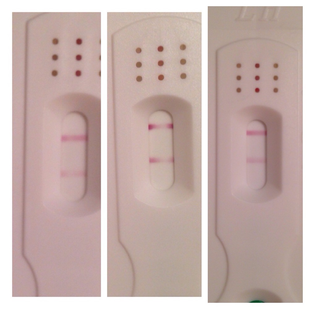 test ovu besoin d'avis Photo Ovulation FORUM Grossesse & bébé