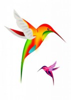 oiseaux-colibri_17-128092620