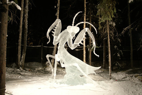 sculpture-glace
