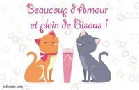 amour-bisous-chat