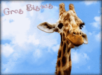 bisous-girafespetitSonnetteCenterblog