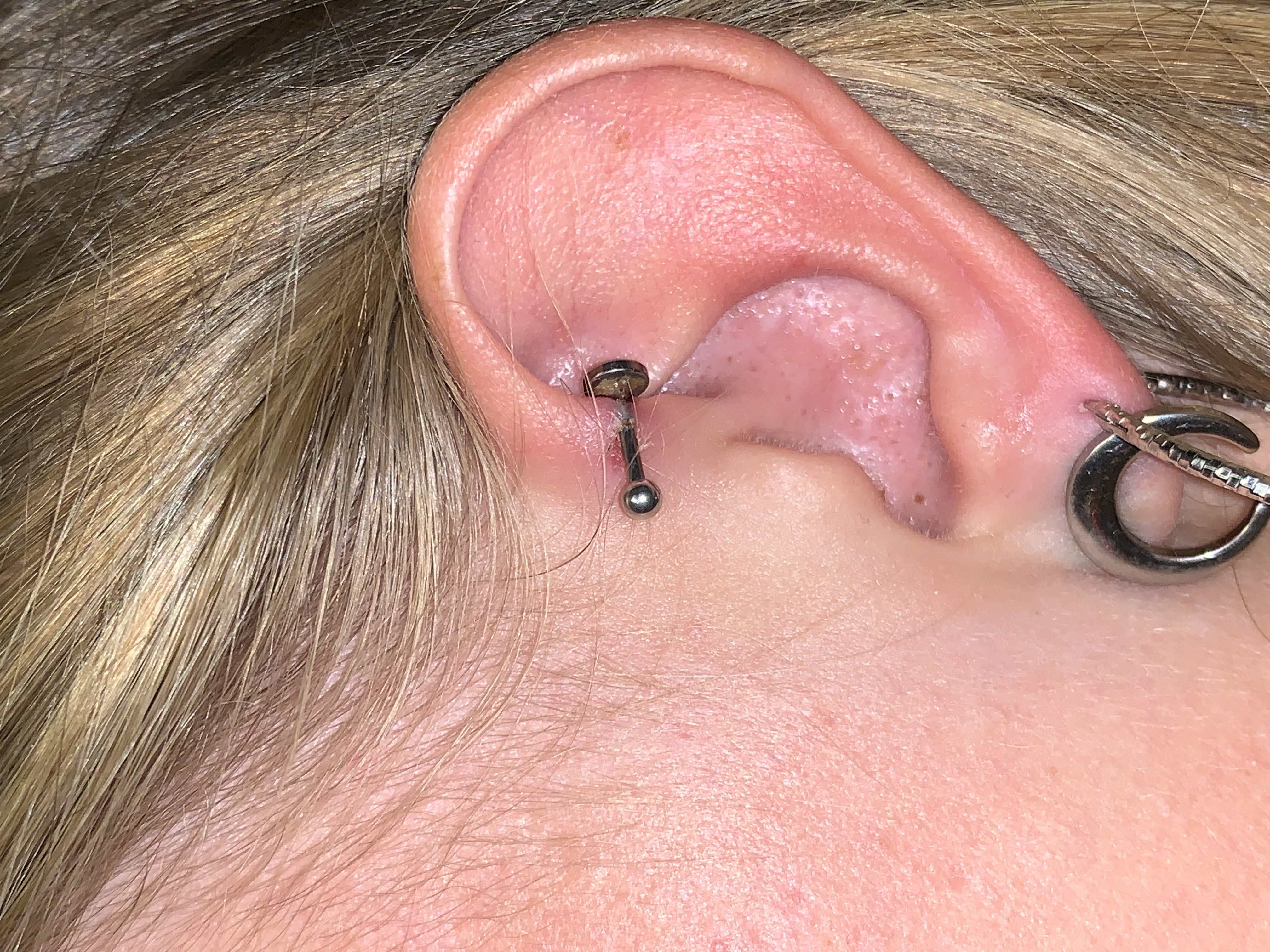 Scarica Gratis Images Piercing Tragus Tombe Tatouages Et Piercings Forum Beaute le plus cool par