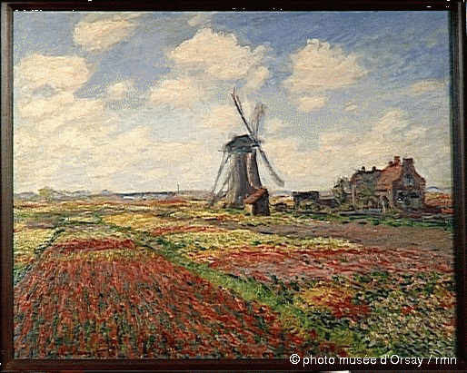 tulipes Hollande 1886