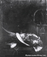 nature morte au faisan 1861