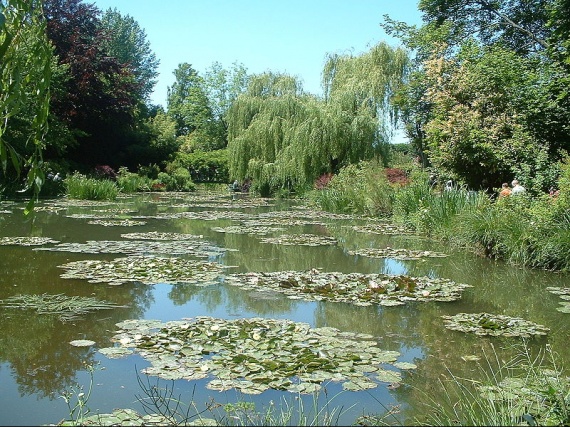 Giverny nympheas