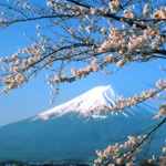 Japon Mt Fuji