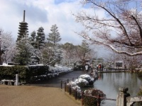 jardins kiyomizu dera