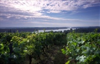 27a vignobles de Loire