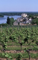 27a- vignobles de Loire
