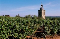 27b vignobles de Loire