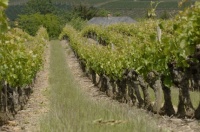 27e vignobles de Loire