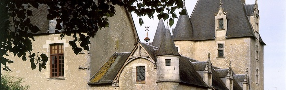 20 Château de Fougères sur Bièvre 41 panorama