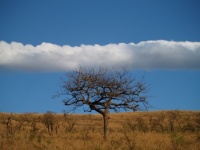 Afrique-du Sud nuages