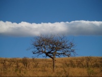 Afrique-du-sud nuages